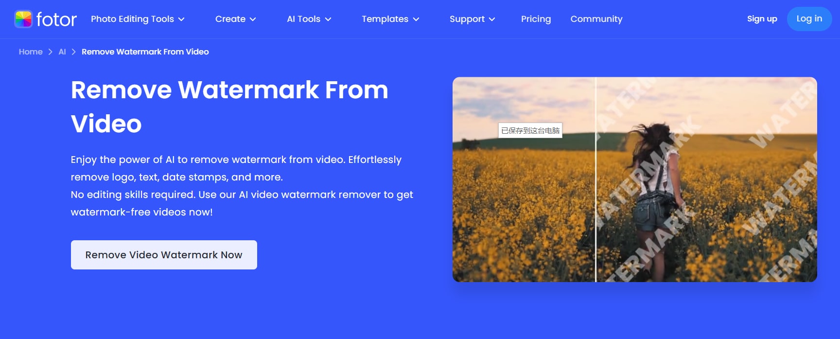 fotor-hitpaw watermart remover alternative