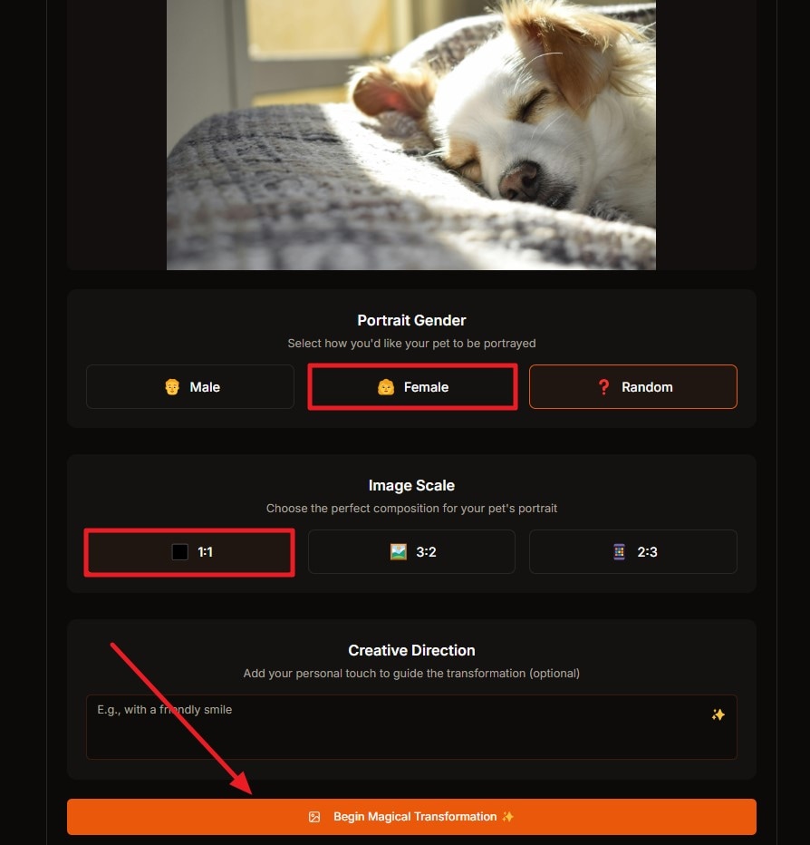 set image properties 
