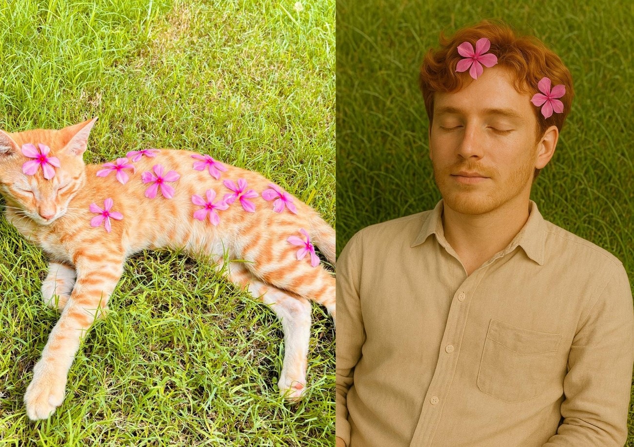 create human version of cat