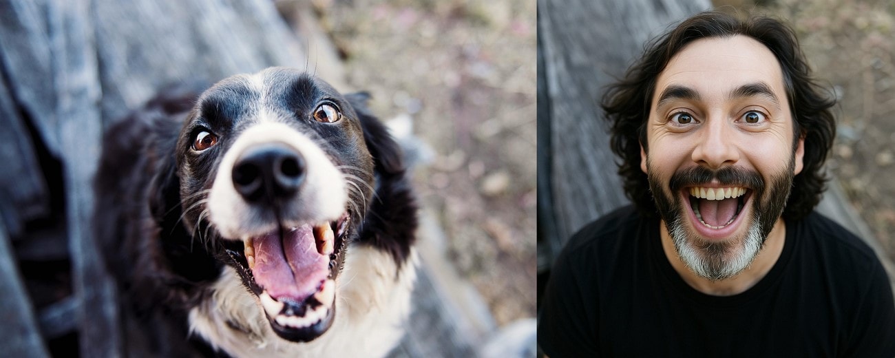 loyal dog to human image