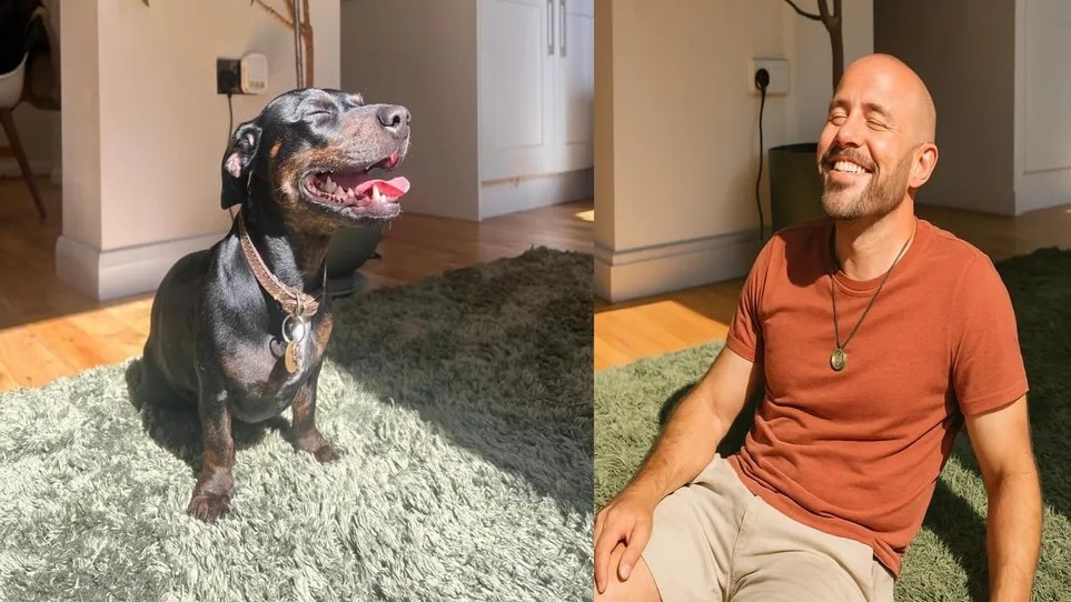 laughing dog into human transformation