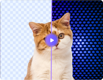 Image Background Remover Online