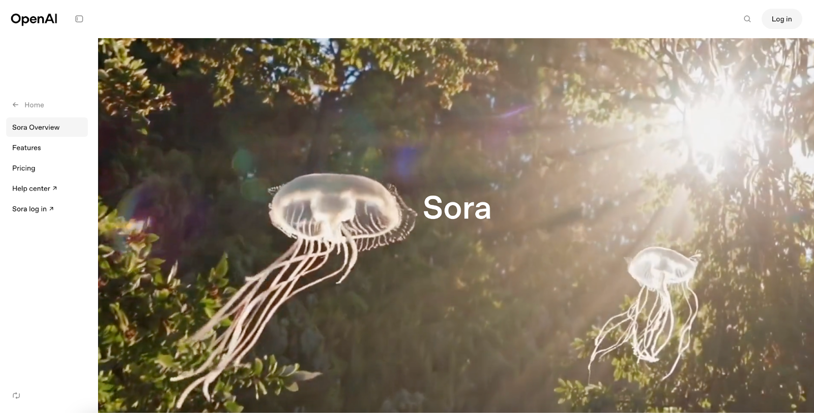 sora open ai homepage